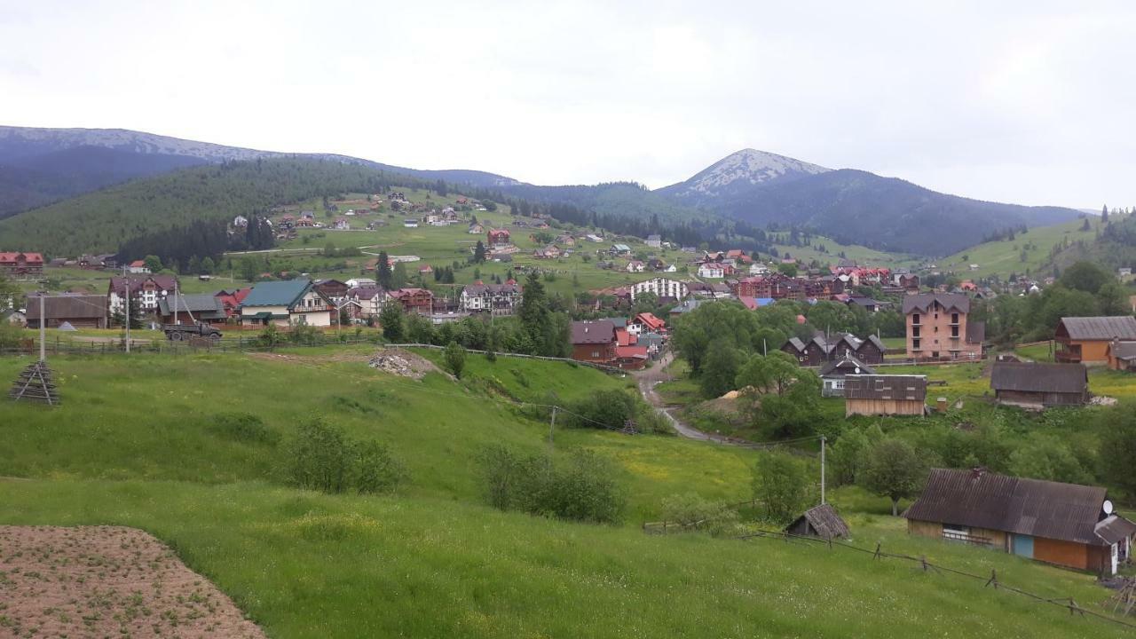 Bee House Поляниця Апартаменти Bukowel Exterior foto